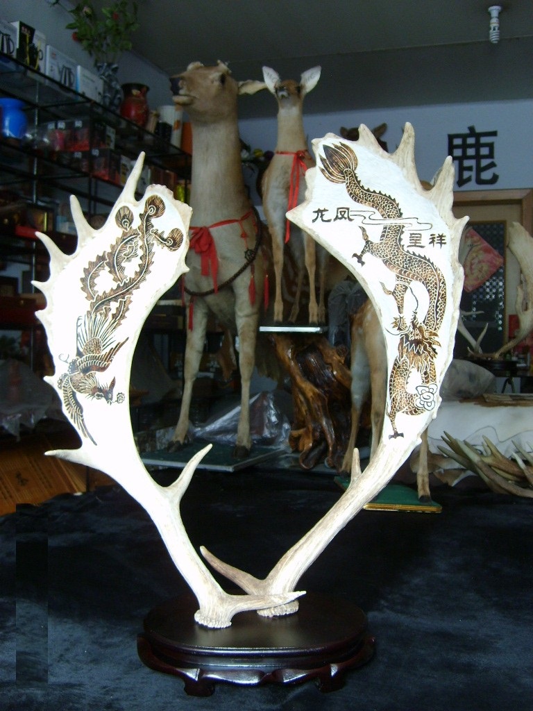 甜鹿角标本 真鹿角雕刻装饰 工艺品摆件 马到成功八骏图 商务礼品