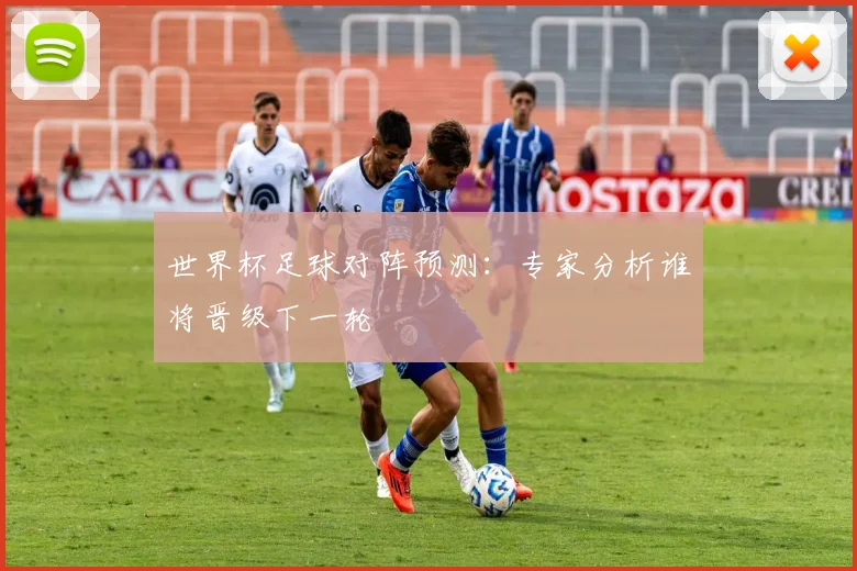 世界杯足球对阵预测:专家分析谁将晋级下一轮