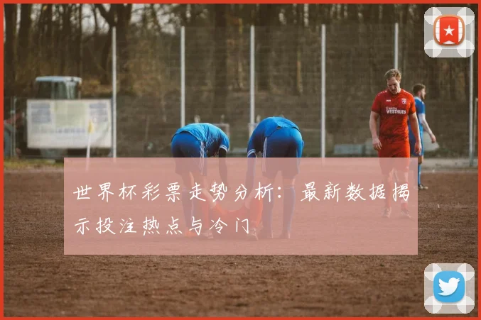 世界杯彩票走势分析：最新数据揭示投注热点与冷门