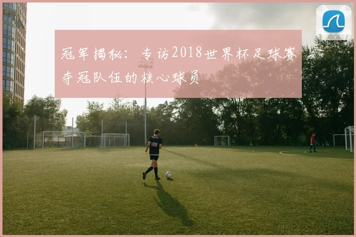冠军揭秘：专访2018世界杯足球赛夺冠队伍的核心球员