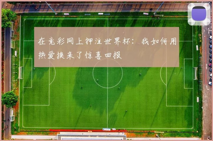 在竞彩网上押注世界杯：我如何用热爱换来了惊喜回报