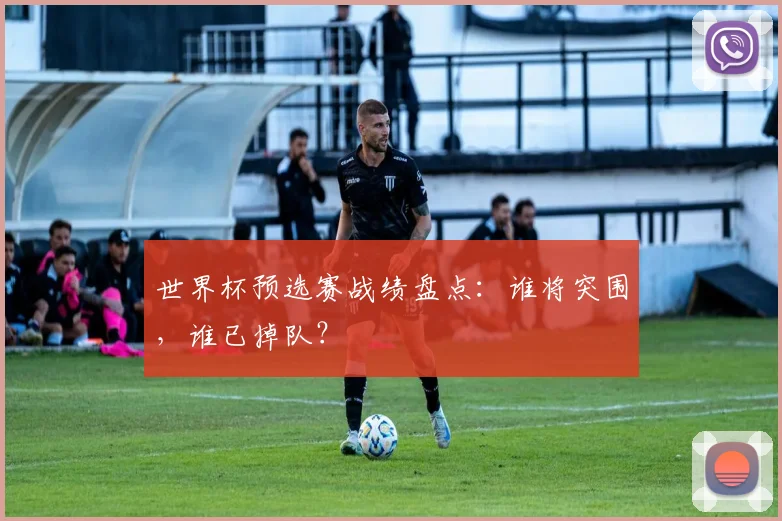 世界杯预选赛战绩盘点：谁将突围，谁已掉队？