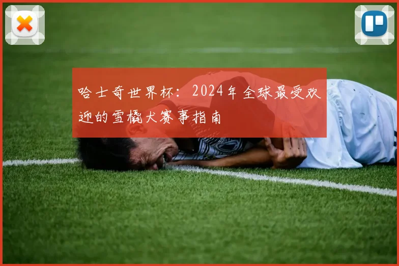哈士奇世界杯：2024年全球最受欢迎的雪橇犬赛事指南