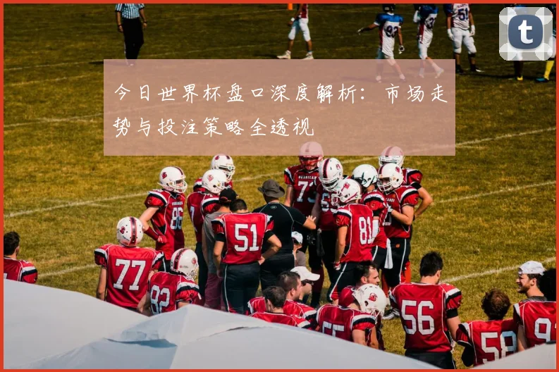 今日世界杯盘口深度解析：市场走势与投注策略全透视
