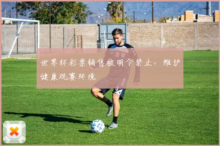 世界杯彩票销售被明令禁止，维护健康观赛环境